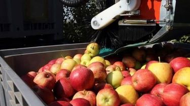 Otorgan créditos por 800 millones de pesos a productores del Alto Valle