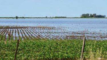 Inundaciones: unos 9.600 productores rurales recibirán asistencia oficial