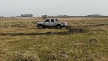 ¿Cómo viene la venta de “camionetas agropecuarias”?