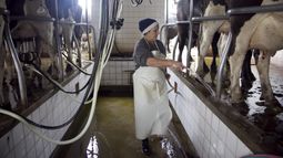 La asistencia estatal para los productores lácteos se estableció a cambio de congelar los precios por tres meses.