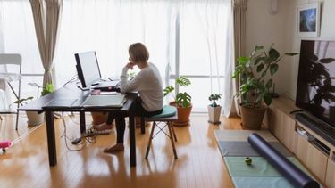 Ya es ley el proyecto oficial de regulación del teletrabajo
