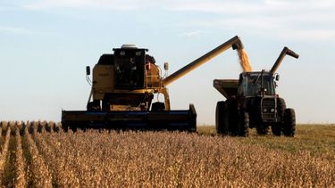 USDA recortó su previsión sobre áreas sembradas en Estados Unidos