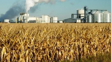 Establecen normas de optimización del abastecimiento de bioetanol