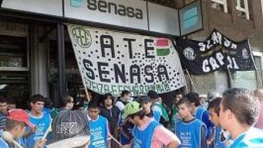 La industria de la carne sufre por el parate en Senasa