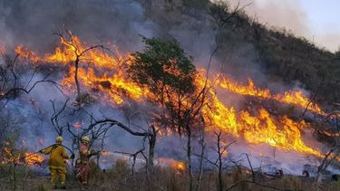 Extendieron un año la emergencia por incendios forestales