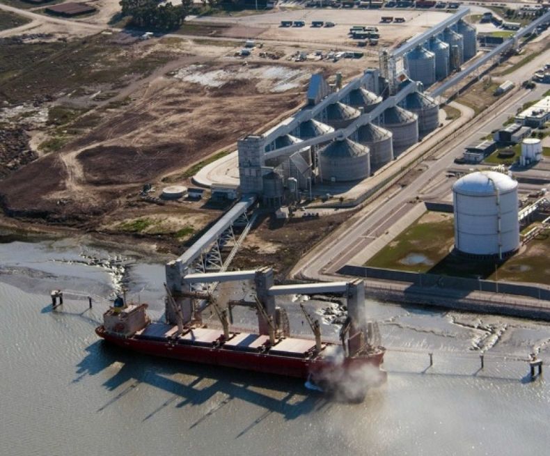 Retenciones: dejan sin efecto DD.JJ. de exportaciones del agro por más de 970 mil toneladas