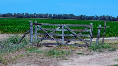 Subrayan que la actualización del inmobiliario rural "está por debajo de la tasa de inflación"