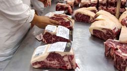 Llaman a profundizar el diálogo para que se liberen las exportaciones de carne