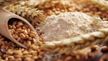 Descartan normas impuestas por el kirchnerismo para comerciar trigo