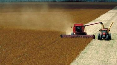 Dejan sin cambios el cálculo sobre la producción de soja brasileña