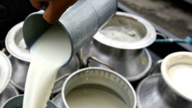 Reclaman la declaración de la emergencia nacional para la lechería