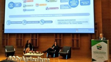 Cuál es el rol del agro frente al cambio climático