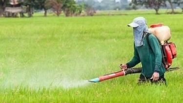 Agroquímicos, industria local y China