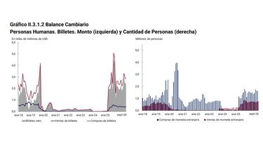 Los datos relevados por la autoridad monetaria.