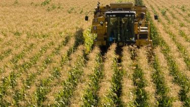 Progresa la cosecha de maíz temprano en Córdoba y Santa Fe