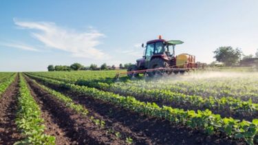 Productores aclaran que nuevo impuesto a la riqueza traerá efectos negativos