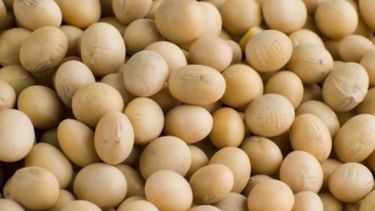 Remarcan que el Estado no perderá con la baja de las retenciones sojeras