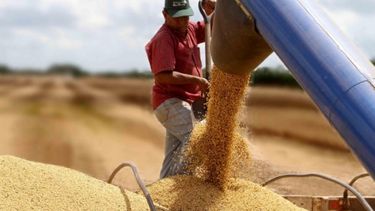 Afirman que la rentabilidad de la soja mejoraría hasta 12% en Córdoba
