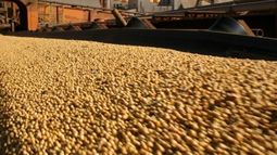 Proyectan exportaciones récord del agro para 2022/23