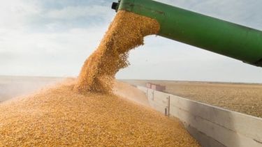 Diez empresas concentraron el 90% de las exportaciones de granos