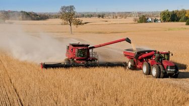 Afirman que ya se recolectó el 53% de la soja y el foco está en la región núcleo