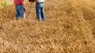 Destacan la importancia de los seguros en el mundo rural