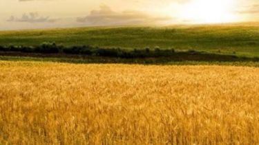 El 2016 trajo 25 nuevos mercados para los productos agroindustriales argentinos