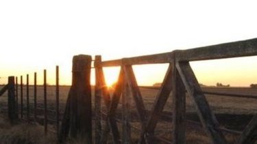 El mercado inmobiliario rural tuvo su peor cifra a fin de año