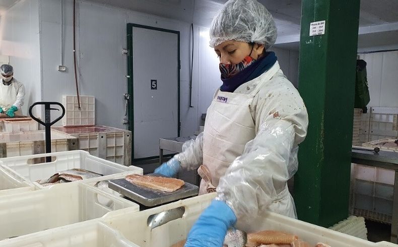 La comercialización externa de este producto no tiene derechos de exportación desde 2021.