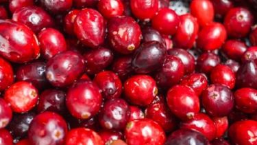 Impulsan cambios en la legislación del mercado de arándanos