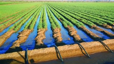 Qué hace Australia para transformar su agroindustria