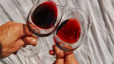 Presencia argentina en el festejo por el Día Mundial del Malbec