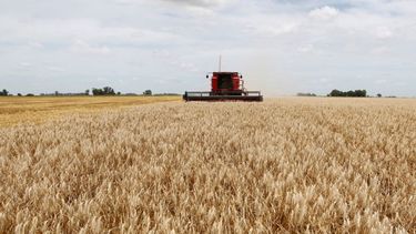Siembra de trigo en Santa Fe.