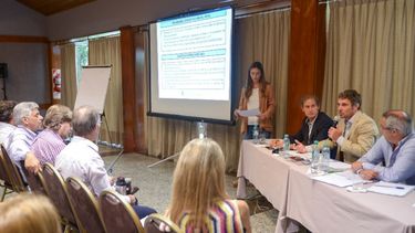 Aprobaron los presupuestos 2017 para la producción ovina y caprina