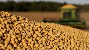 La soja repitió números negativos en Chicago