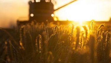 La agroexportación entregó su peor número semanal en el año