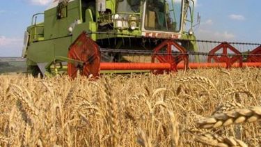 Cerealeros santafesinos piden al nuevo Gobierno "federalismo en serio"