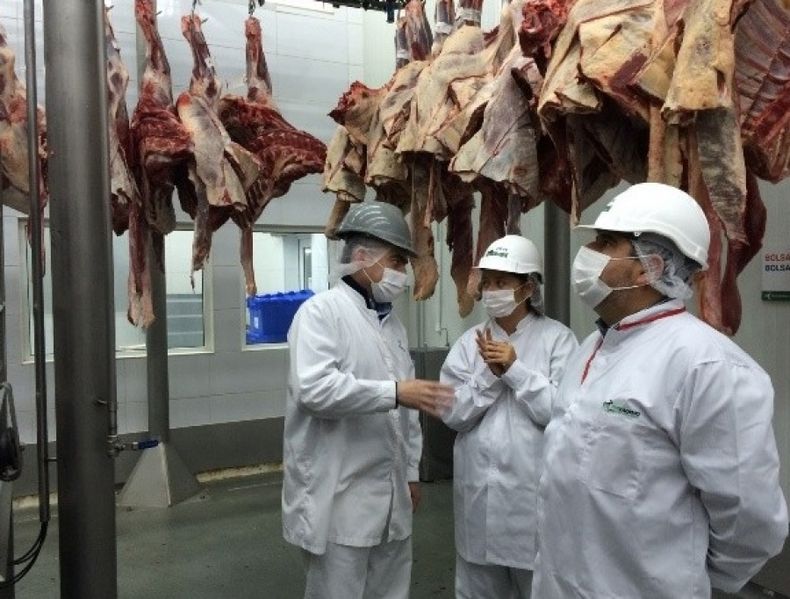 Registran caídas en la producción de carne aviar y bovina