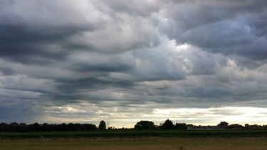 La noticia más relevante es que finalmente llegó el agua, remarcó la BCR,&nbsp;