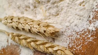Incrementaron los precios de referencia de la harina