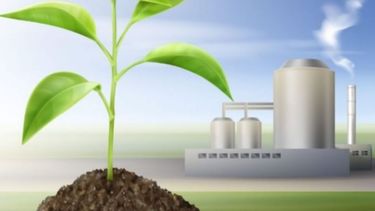 Productores de biocombustibles se mostraron en contra de nueva propuesta oficial