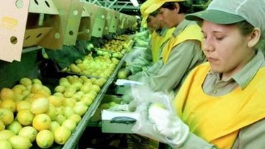 Agricultores de EE.UU. buscan que siga la suspensión a los limones argentinos