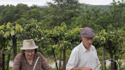 El Monotributo Social Agropecuario estará vigente hasta diciembre