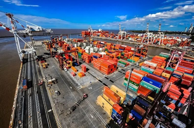 La capacidad exportadora del sector productivo local.