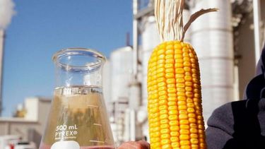 Oficializaron los nuevos precios para el bioetanol a base de maíz