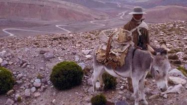 Buscan mejorar la infraestructura para pequeños productores jujeños