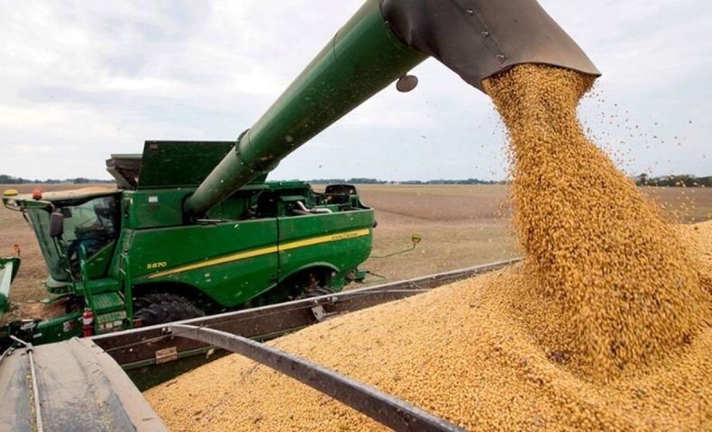 La cosecha de soja terminó con una merma de 10% interanual