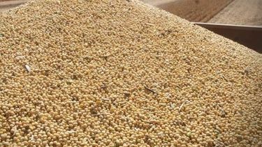 Marcada baja de la agroexportación a nivel interanual