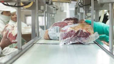 Las tareas en los frigoríficos.