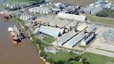 El agro argentino exportó granos para alimentar a 212 millones de personas